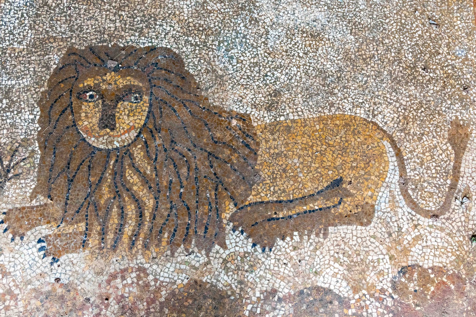 Chiesa di Santa Maria della Porta Galatina mosaico del leone